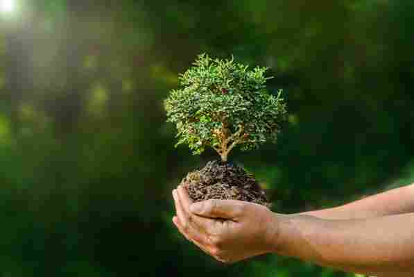 Cómo la domótica ayuda a la transición ecológica